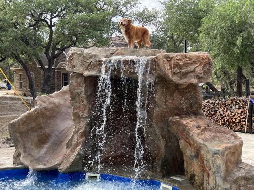 waterfall-slide-dog